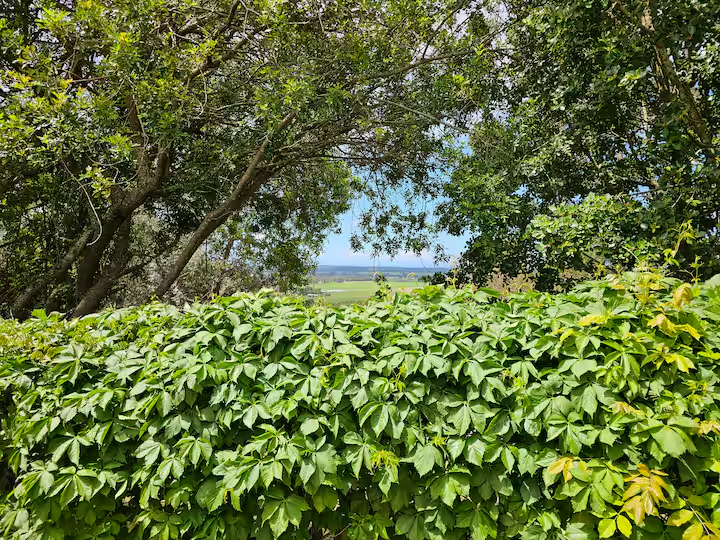 Winemakers Cottage View