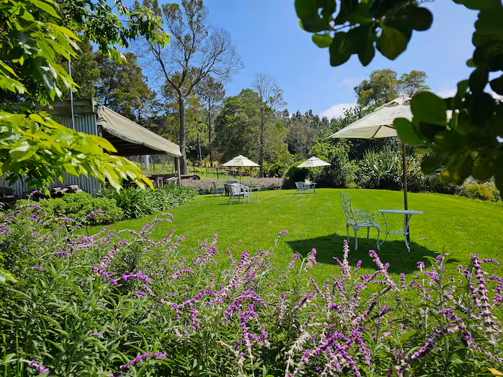 Packwood Wine Estate and Country Retreat
