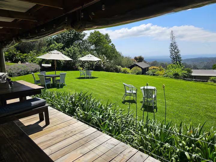 Packwood Wine Estate and Country Retreat wine tasting view